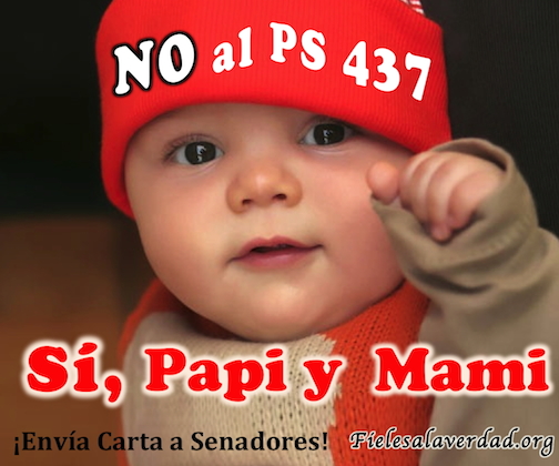 NO al PS 437 