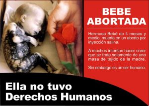 Bebé Abortada