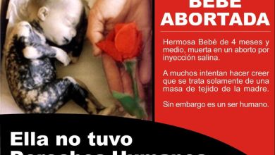 Bebé Abortada