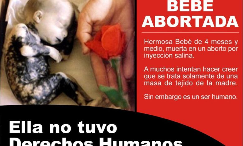 Bebé Abortada