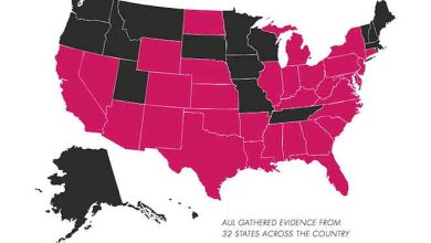 Abortion: States Map