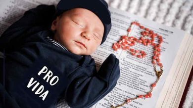 baby with pro-vida tee