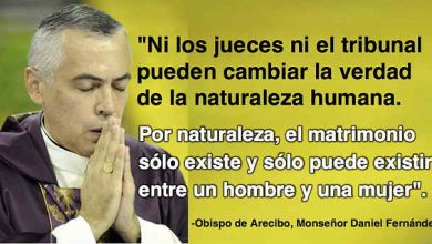 Bishop of Arecibo on Marriage