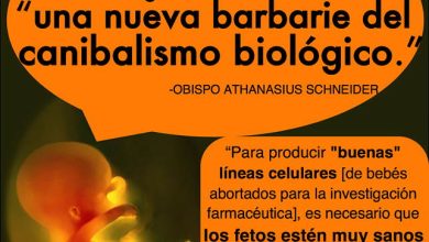 canibalismo-biologico