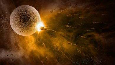 Moment of Conception