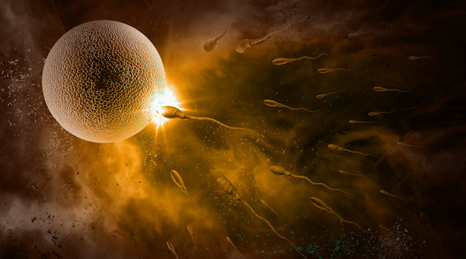 Moment of Conception