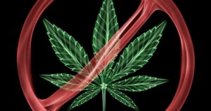 Marijuana