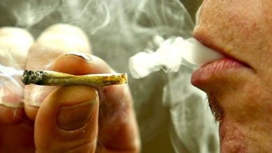 Marijuana