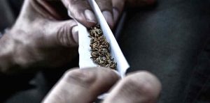 Rolling a Joint