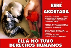 Bebé Abortada