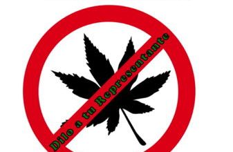 No Pot