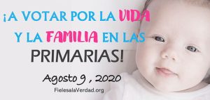 ¡A Votar en las Primarias!