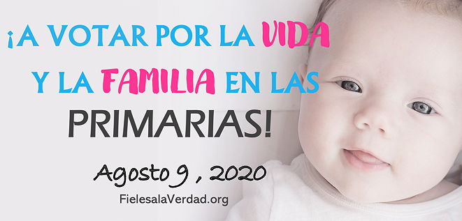 ¡A Votar en las Primarias!