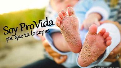 soy pro vida