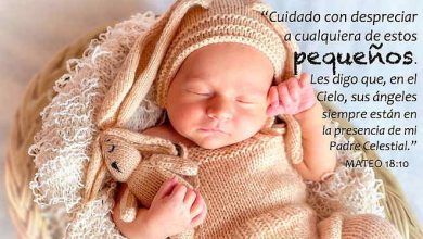 FAV Image: MATEO 18:10