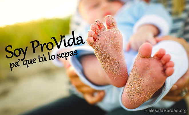 soy pro vida