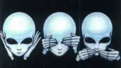 See no evil