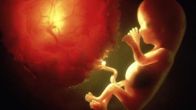 unborn baby