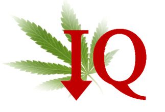 weed lowers IQ