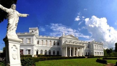 Universidad de Sagrado Corazón